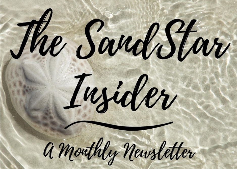 Newsletter Archives