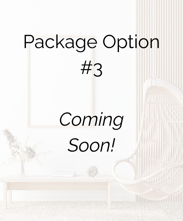 Package Option 3